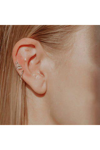 Ear Seed Kit
