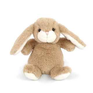 Bun Bun Bunny