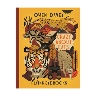 Children's Book - Crazy About Cats: Owen Davey