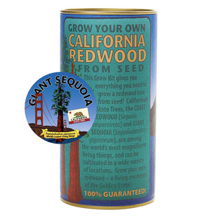 Giant Sequoia Growing Kit